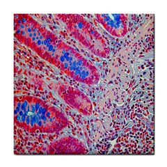 Histology Inc Histo Logistics Incorporated Alcian Blue Tile Coasters by Mariart