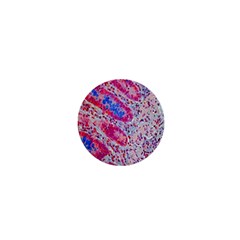 Histology Inc Histo Logistics Incorporated Alcian Blue 1  Mini Magnets