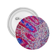 Histology Inc Histo Logistics Incorporated Alcian Blue 2 25  Buttons by Mariart