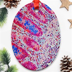 Histology Inc Histo Logistics Incorporated Alcian Blue Ornament (oval) by Mariart