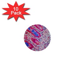 Histology Inc Histo Logistics Incorporated Alcian Blue 1  Mini Buttons (10 Pack)  by Mariart