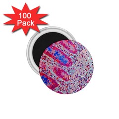 Histology Inc Histo Logistics Incorporated Alcian Blue 1 75  Magnets (100 Pack) 