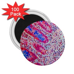 Histology Inc Histo Logistics Incorporated Alcian Blue 2 25  Magnets (100 Pack) 