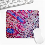 Histology Inc Histo Logistics Incorporated Alcian Blue Large Mousepads Front