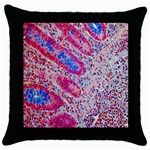 Histology Inc Histo Logistics Incorporated Alcian Blue Throw Pillow Case (Black) Front