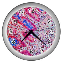 Histology Inc Histo Logistics Incorporated Alcian Blue Wall Clocks (silver) 