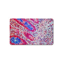 Histology Inc Histo Logistics Incorporated Alcian Blue Magnet (name Card) by Mariart