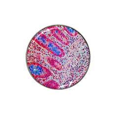 Histology Inc Histo Logistics Incorporated Alcian Blue Hat Clip Ball Marker by Mariart