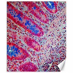 Histology Inc Histo Logistics Incorporated Alcian Blue Canvas 8  X 10  by Mariart