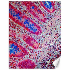 Histology Inc Histo Logistics Incorporated Alcian Blue Canvas 12  X 16  