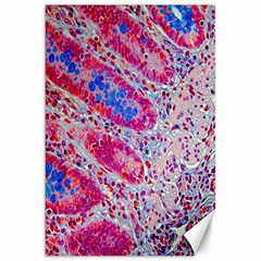 Histology Inc Histo Logistics Incorporated Alcian Blue Canvas 20  X 30   by Mariart