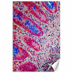 Histology Inc Histo Logistics Incorporated Alcian Blue Canvas 24  X 36  by Mariart