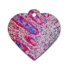 Histology Inc Histo Logistics Incorporated Alcian Blue Dog Tag Heart (two Sides) by Mariart