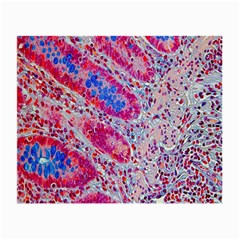 Histology Inc Histo Logistics Incorporated Alcian Blue Small Glasses Cloth (2-side)