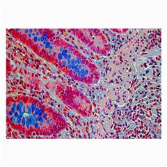 Histology Inc Histo Logistics Incorporated Alcian Blue Large Glasses Cloth (2-side) by Mariart