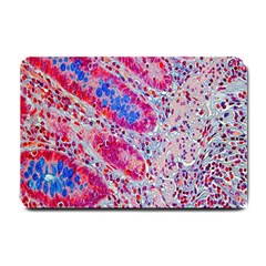 Histology Inc Histo Logistics Incorporated Alcian Blue Small Doormat  by Mariart