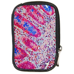 Histology Inc Histo Logistics Incorporated Alcian Blue Compact Camera Cases