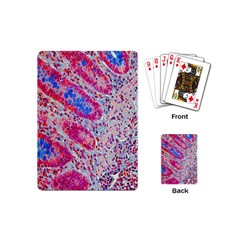 Histology Inc Histo Logistics Incorporated Alcian Blue Playing Cards (mini)  by Mariart