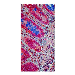 Histology Inc Histo Logistics Incorporated Alcian Blue Shower Curtain 36  X 72  (stall)  by Mariart