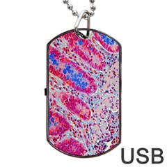 Histology Inc Histo Logistics Incorporated Alcian Blue Dog Tag Usb Flash (one Side) by Mariart