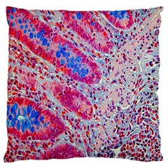 Histology Inc Histo Logistics Incorporated Alcian Blue Large Cushion Case (one Side) by Mariart