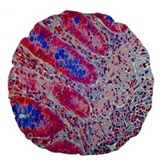 Histology Inc Histo Logistics Incorporated Alcian Blue Large 18  Premium Round Cushions