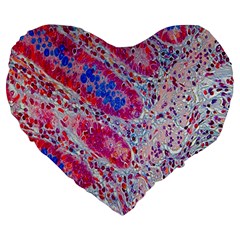 Histology Inc Histo Logistics Incorporated Alcian Blue Large 19  Premium Heart Shape Cushions by Mariart