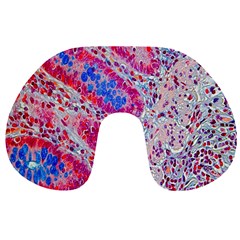 Histology Inc Histo Logistics Incorporated Alcian Blue Travel Neck Pillows by Mariart