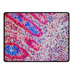 Histology Inc Histo Logistics Incorporated Alcian Blue Double Sided Fleece Blanket (small) 