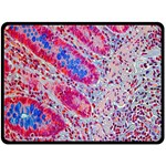 Histology Inc Histo Logistics Incorporated Alcian Blue Double Sided Fleece Blanket (Large)  80 x60  Blanket Front