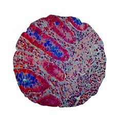 Histology Inc Histo Logistics Incorporated Alcian Blue Standard 15  Premium Flano Round Cushions by Mariart