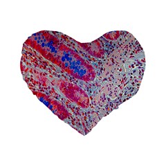 Histology Inc Histo Logistics Incorporated Alcian Blue Standard 16  Premium Flano Heart Shape Cushions by Mariart