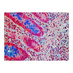 Histology Inc Histo Logistics Incorporated Alcian Blue Double Sided Flano Blanket (mini) 