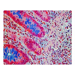 Histology Inc Histo Logistics Incorporated Alcian Blue Double Sided Flano Blanket (large)  by Mariart