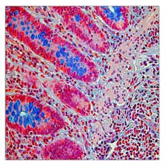 Histology Inc Histo Logistics Incorporated Alcian Blue Large Satin Scarf (square) by Mariart