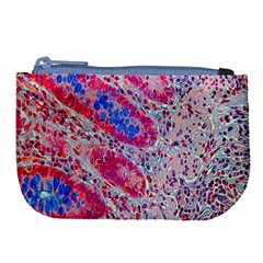 Histology Inc Histo Logistics Incorporated Alcian Blue Large Coin Purse by Mariart