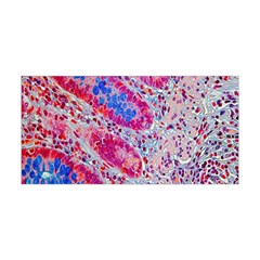 Histology Inc Histo Logistics Incorporated Alcian Blue Yoga Headband by Mariart