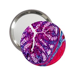 Histology Inc Histo Logistics Incorporated Masson s Trichrome Three Colour Staining 2 25  Handbag Mirrors