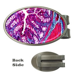 Histology Inc Histo Logistics Incorporated Masson s Trichrome Three Colour Staining Money Clips (oval)  by Mariart