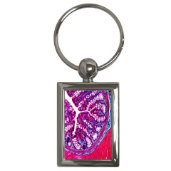 Histology Inc Histo Logistics Incorporated Masson s Trichrome Three Colour Staining Key Chains (rectangle)  by Mariart