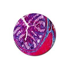 Histology Inc Histo Logistics Incorporated Masson s Trichrome Three Colour Staining Rubber Round Coaster (4 Pack)  by Mariart