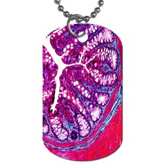 Histology Inc Histo Logistics Incorporated Masson s Trichrome Three Colour Staining Dog Tag (one Side)