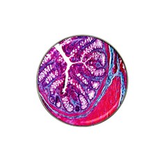 Histology Inc Histo Logistics Incorporated Masson s Trichrome Three Colour Staining Hat Clip Ball Marker (4 Pack) by Mariart