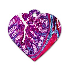 Histology Inc Histo Logistics Incorporated Masson s Trichrome Three Colour Staining Dog Tag Heart (two Sides) by Mariart