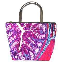 Histology Inc Histo Logistics Incorporated Masson s Trichrome Three Colour Staining Bucket Bags