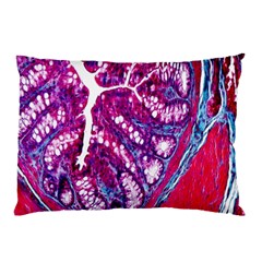 Histology Inc Histo Logistics Incorporated Masson s Trichrome Three Colour Staining Pillow Case by Mariart