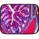 Histology Inc Histo Logistics Incorporated Masson s Trichrome Three Colour Staining Fleece Blanket (Mini) 35 x27  Blanket