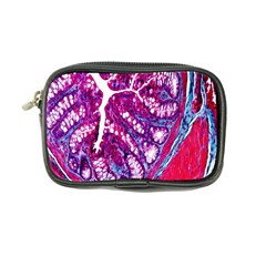 Histology Inc Histo Logistics Incorporated Masson s Trichrome Three Colour Staining Coin Purse by Mariart