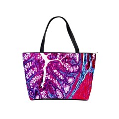 Histology Inc Histo Logistics Incorporated Masson s Trichrome Three Colour Staining Shoulder Handbags by Mariart