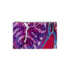 Histology Inc Histo Logistics Incorporated Masson s Trichrome Three Colour Staining Cosmetic Bag (small)  by Mariart